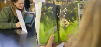 Tytöt lukevat kirjoja kirjastossa. 