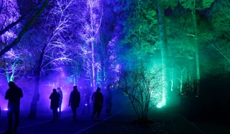 taikametsä tapahtuma.