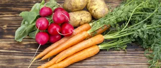 Porkkanoita, perunoita ja retiisejä pöydällä.