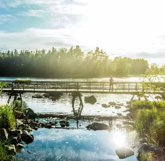 Ihminen sillalla Kämärin puusillalla auringon paisteessa.