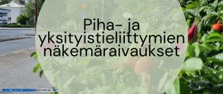 Tontin pensaat peittävät näkymän tielle.