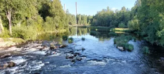 Ämmäkosken kosken kuohuja