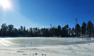 tekojää