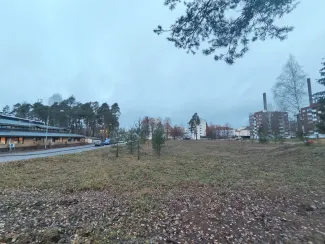 Päiviönsaaren alue